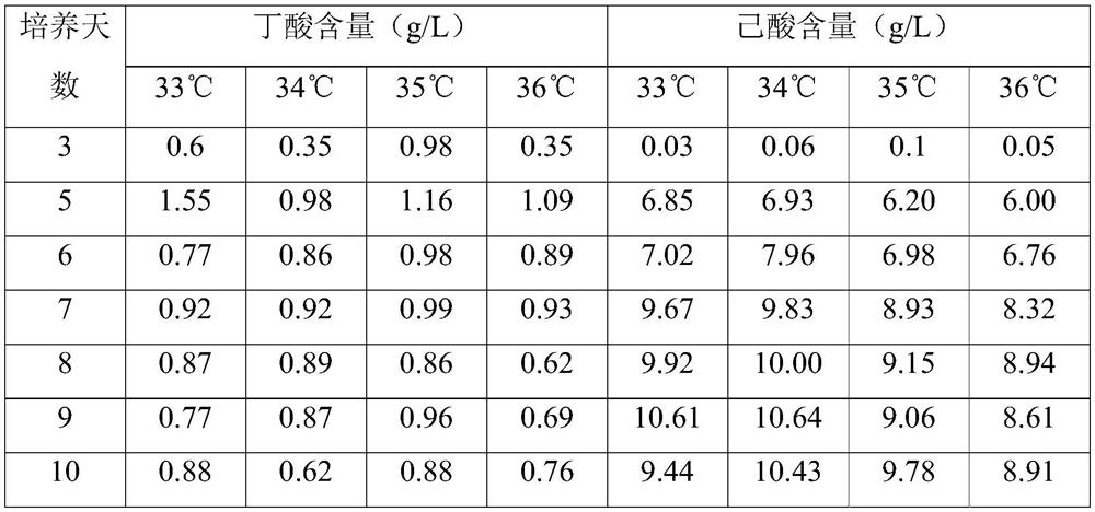 Glucose-inhibiting type oxygen-resistant hexanoic acid producing bacterium