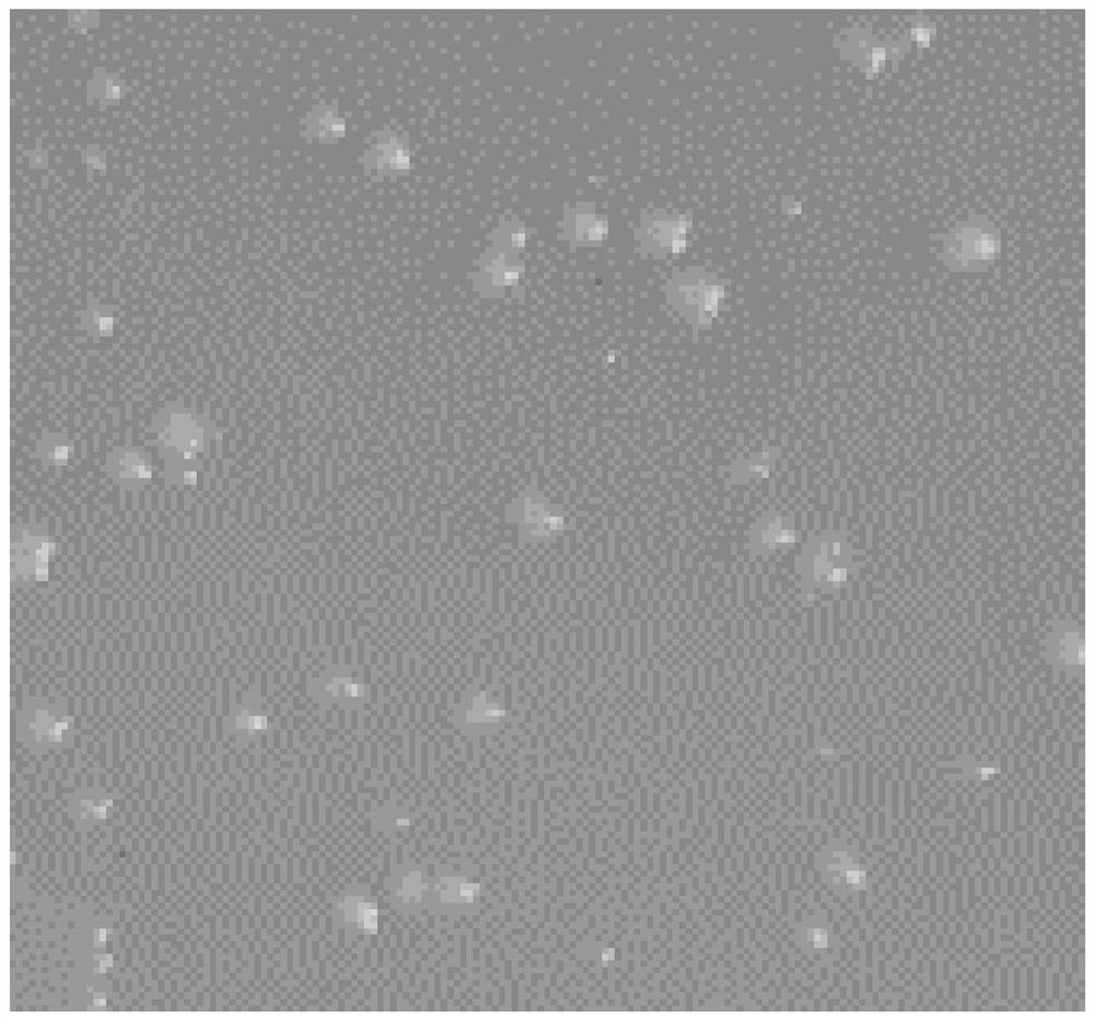 Glucose-inhibiting type oxygen-resistant hexanoic acid producing bacterium