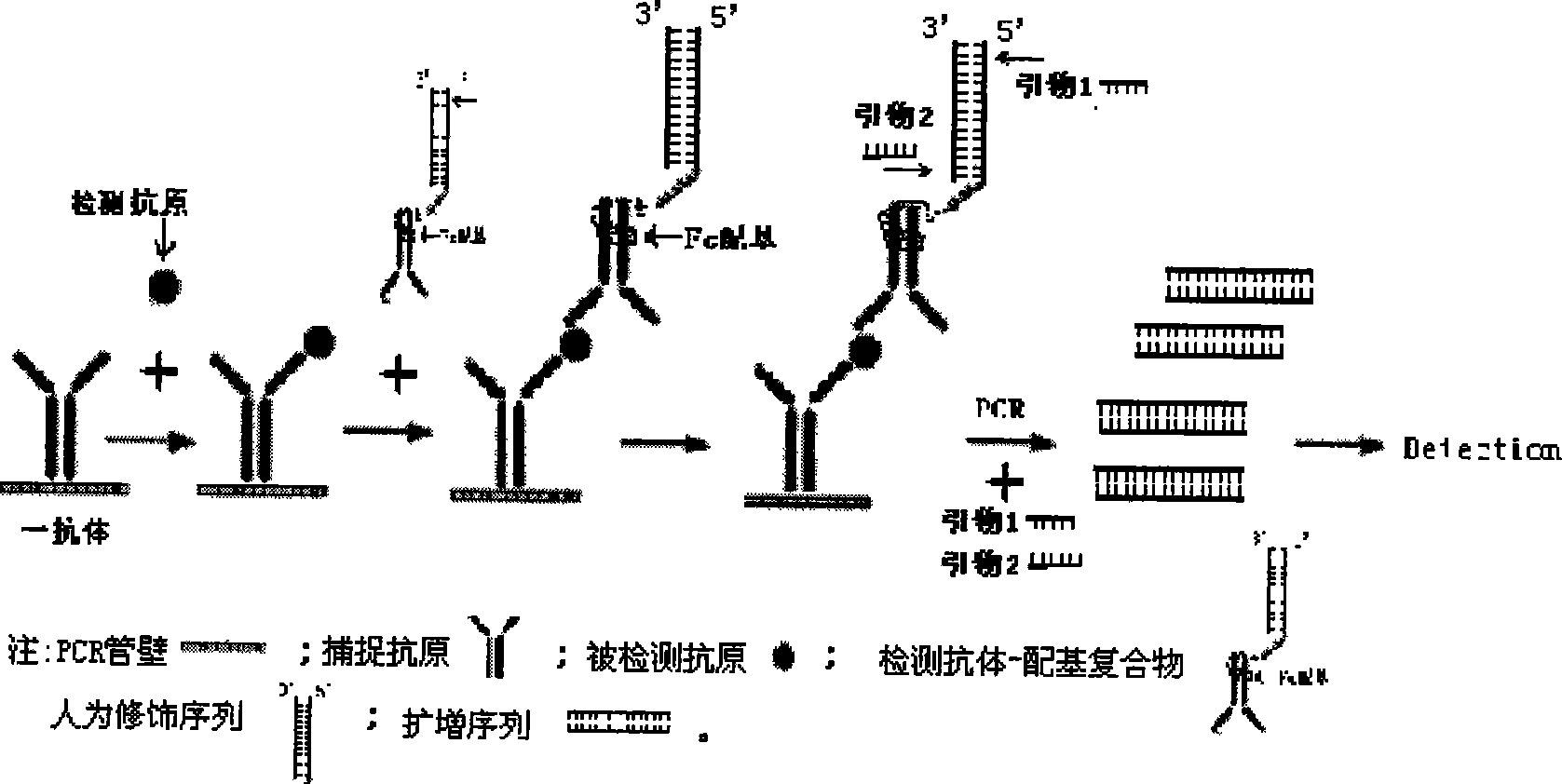 HPV viral antigen, ligand tube-type PCR detection kit, preparation and use thereof