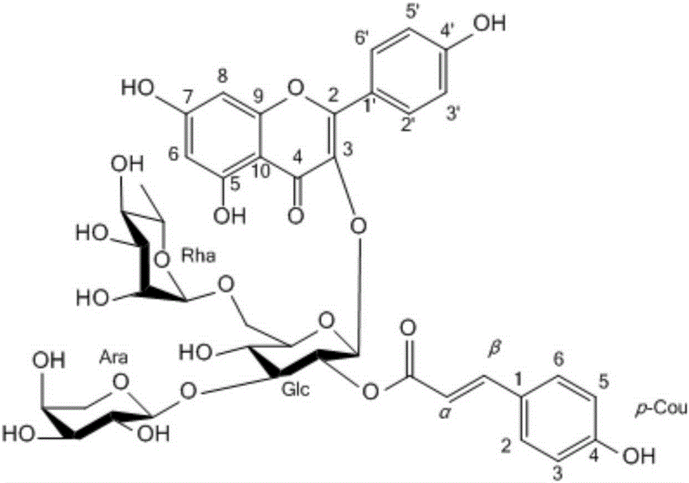 Acylation flavone glycoside named camellikaempferoside A and preparing method and application thereof