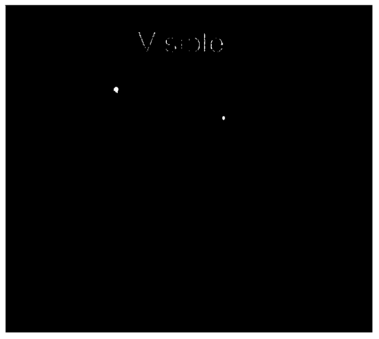 A real-time image fusion method based on visible light and near-infrared dual-band camera