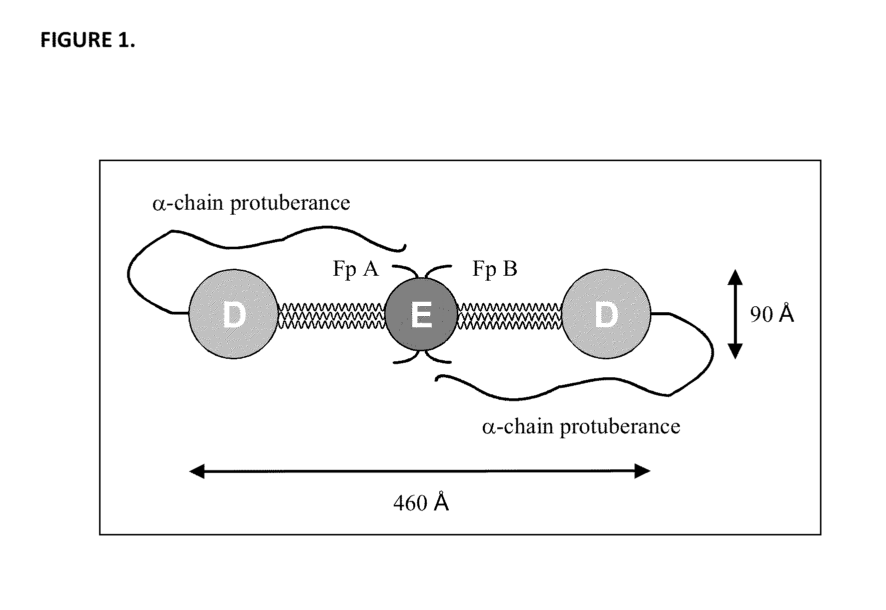 Fibrinogen Assay