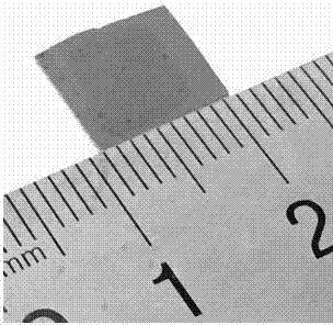 Method for growing single-layer graphene thin film by virtue of low-temperature chemical vapor deposition