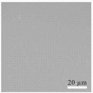 Method for growing single-layer graphene thin film by virtue of low-temperature chemical vapor deposition