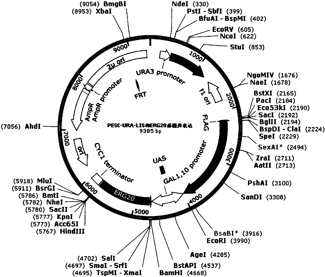 Method for improving linalool synthesizing capacity of saccharomyces cerevisiae