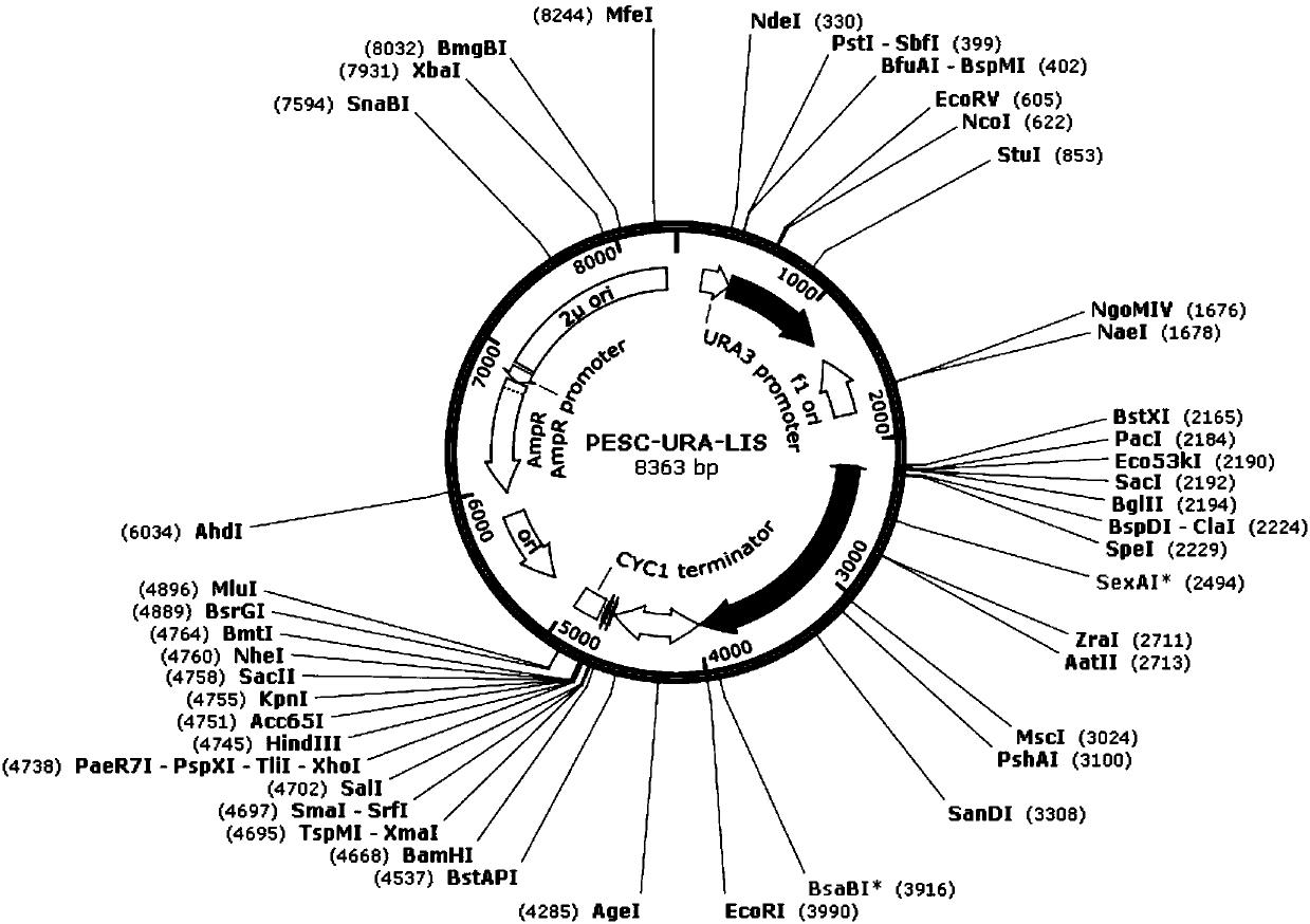 Method for improving linalool synthesizing capacity of saccharomyces cerevisiae