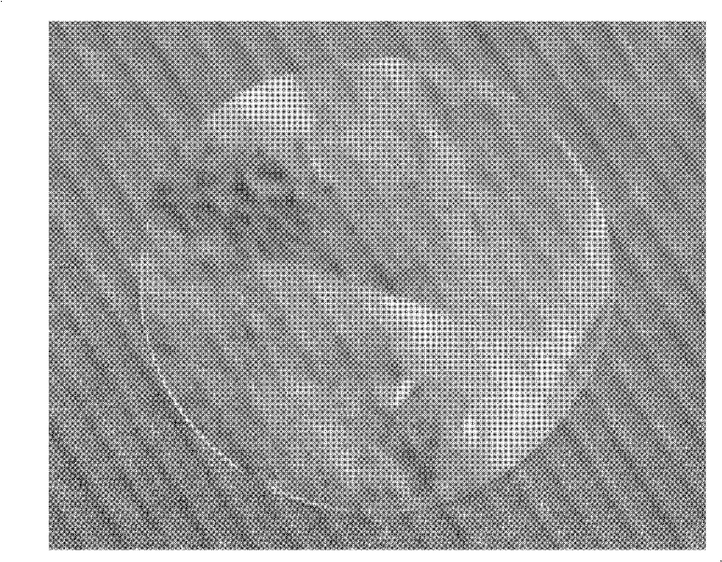 A kind of polymer solid electrolyte membrane and preparation method thereof