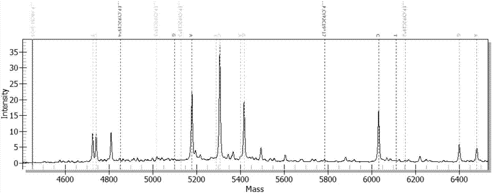 Detection kit for CYP2C19 and ABCB1 genes