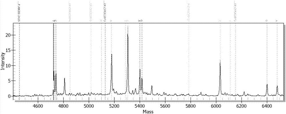 Detection kit for CYP2C19 and ABCB1 genes