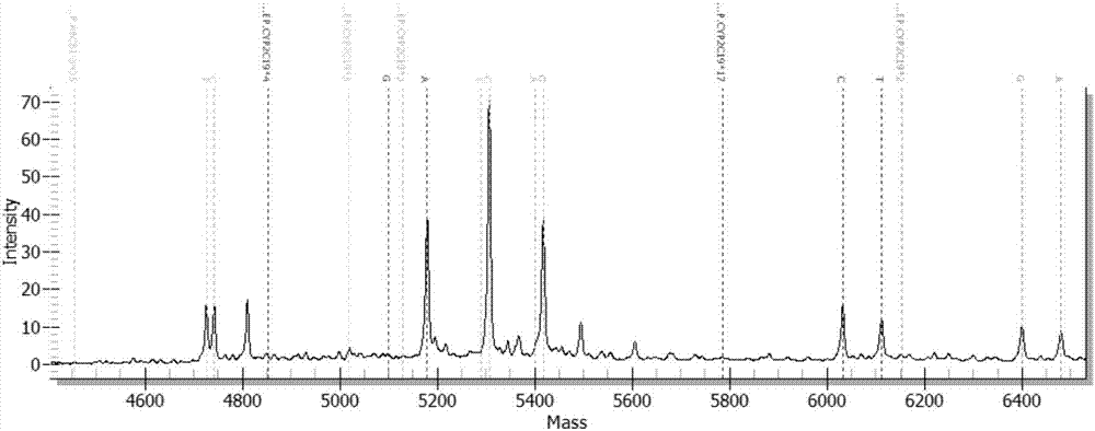 Detection kit for CYP2C19 and ABCB1 genes