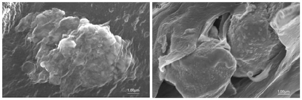 A preparation method of high dielectric copper/polyvinylidene fluoride composite material