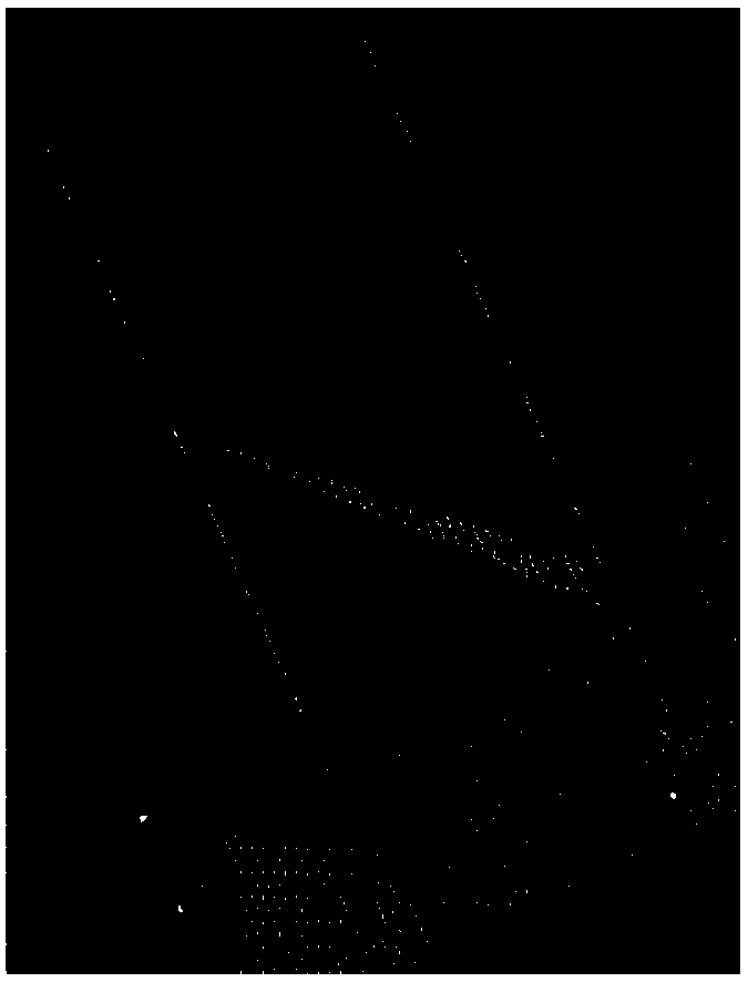 Near-surface shear wave interval velocity model establishment method