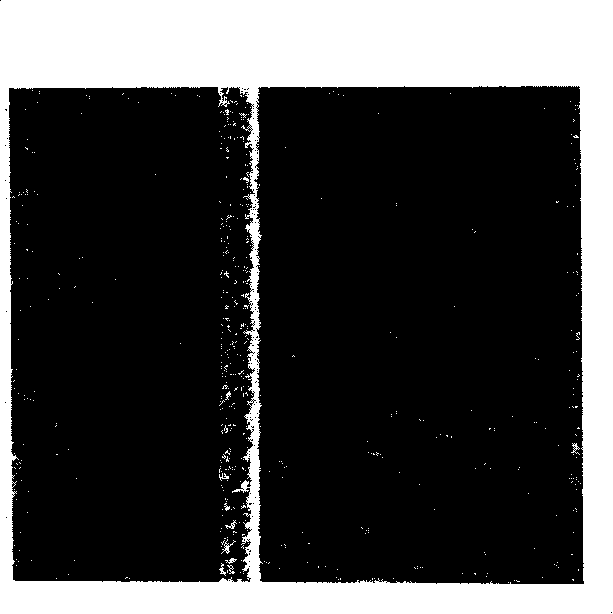 Material with metal silicide nanostructure and method for making the same