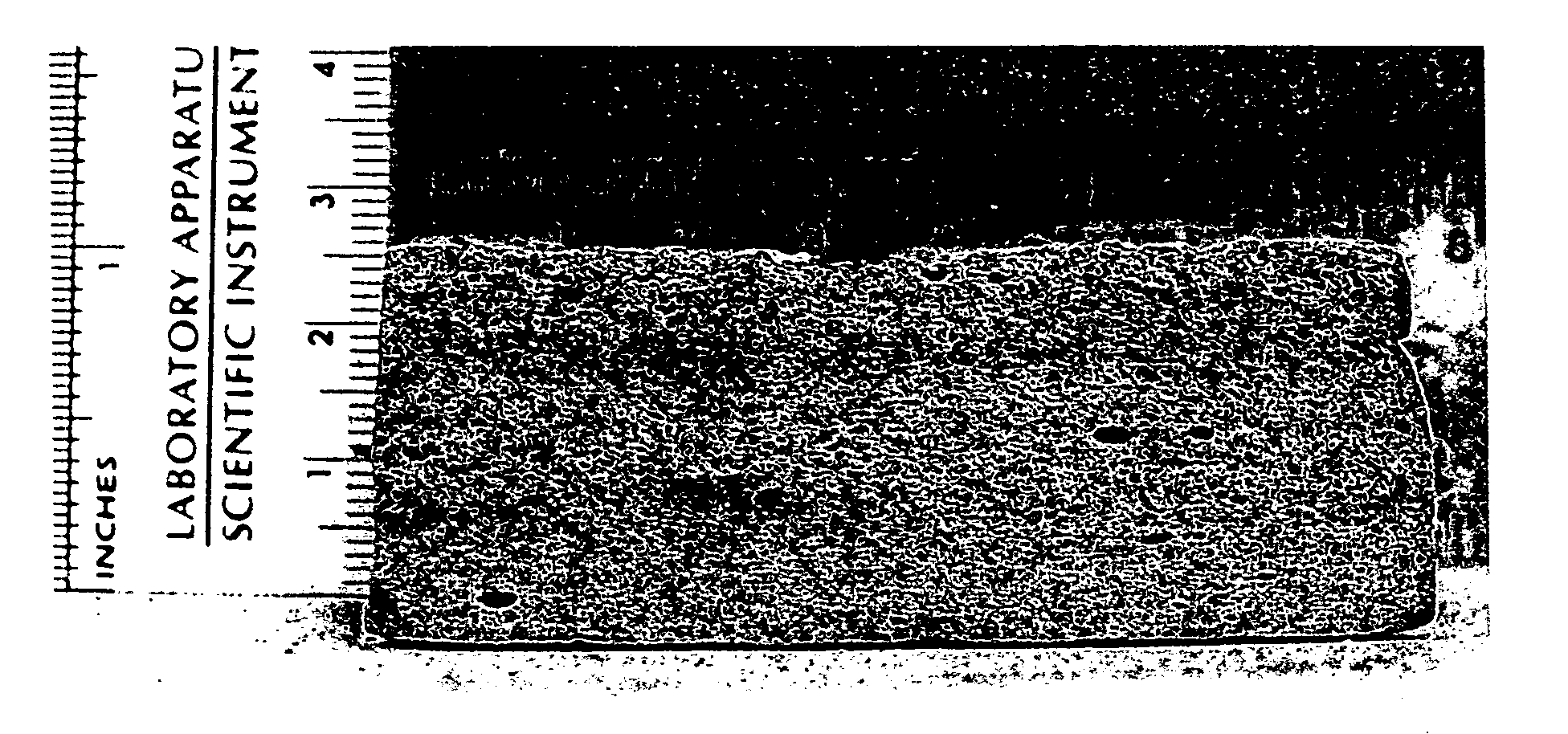 High porosity metal biporous foam