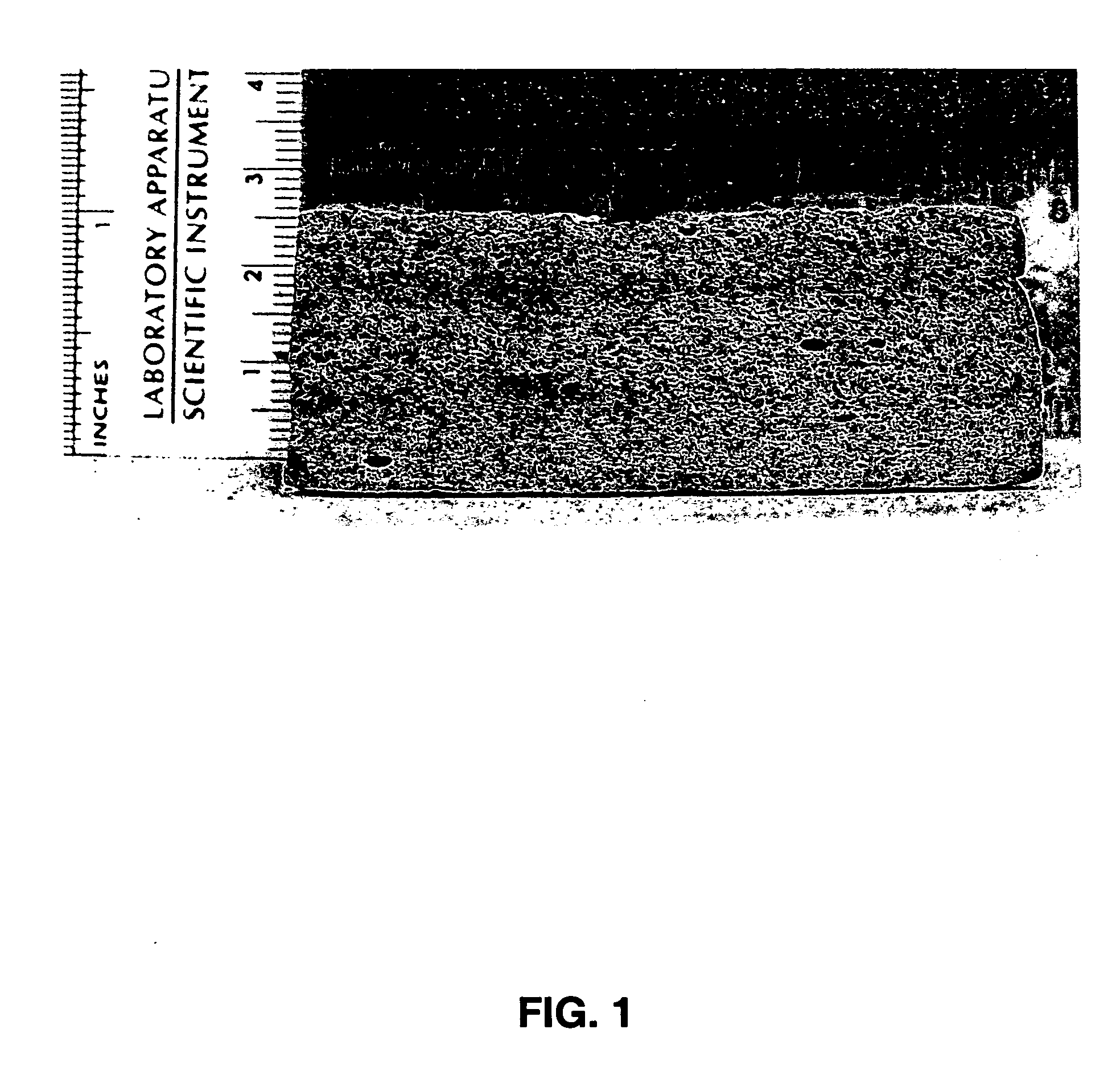 High porosity metal biporous foam