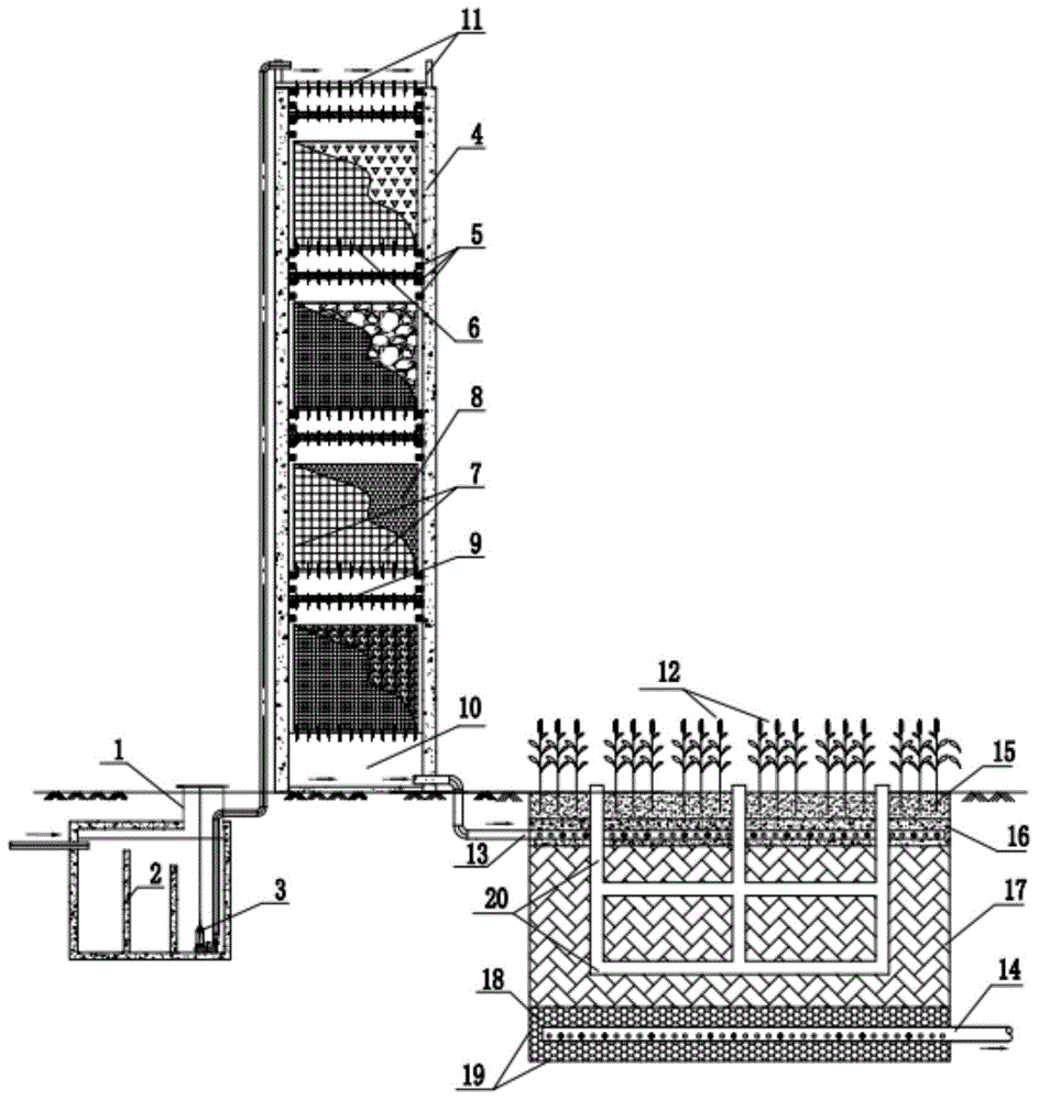 Multi-medium biological-ecological cooperative treatment system and multi-medium biological-ecological cooperative treatment method for sewage in highway affiliated facilities