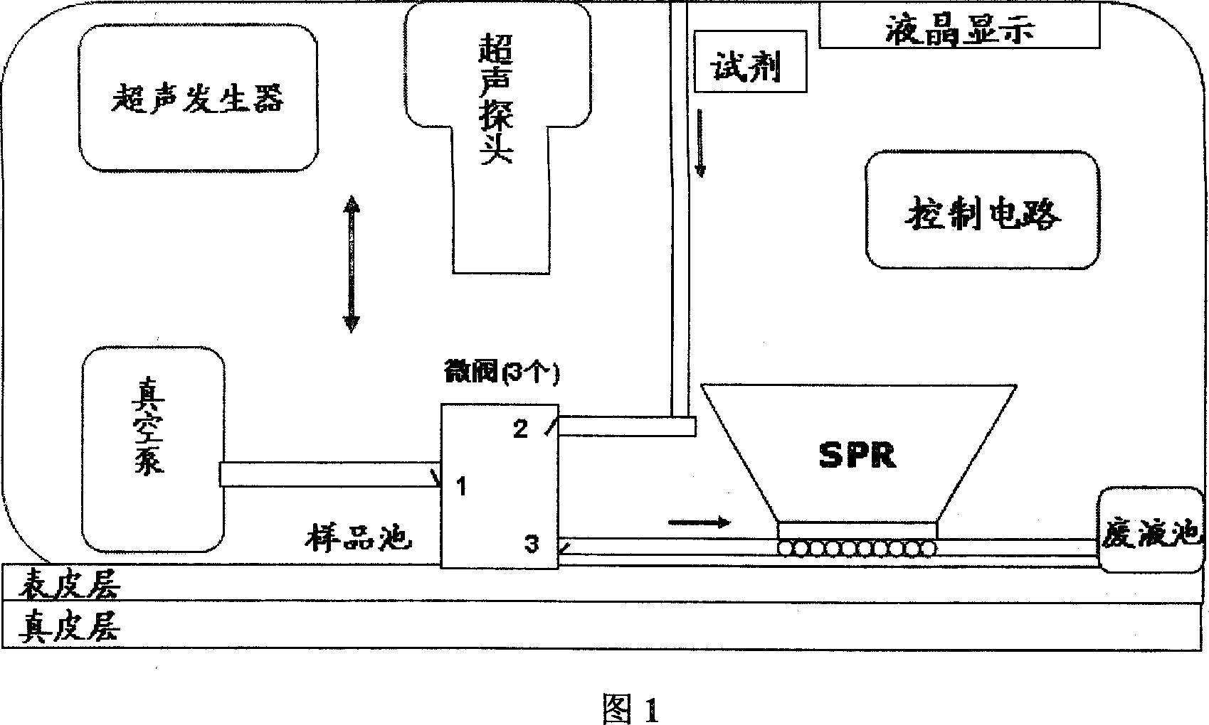 Tiny-wound, dynamic and continuous detecting method and system of concentration of sugar in human blood