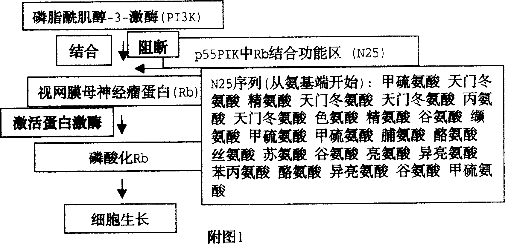 Obtaining of cell growth inhibiting polypeptide and its usage