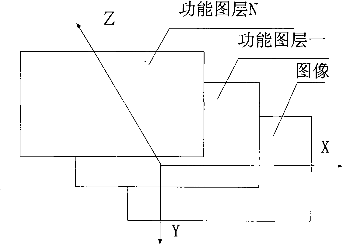 Ultrasonic dynamic image processing method and system