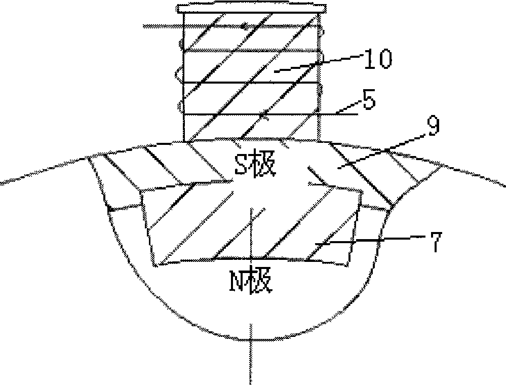 Self-excitation type speed inhibitor having water cooling system