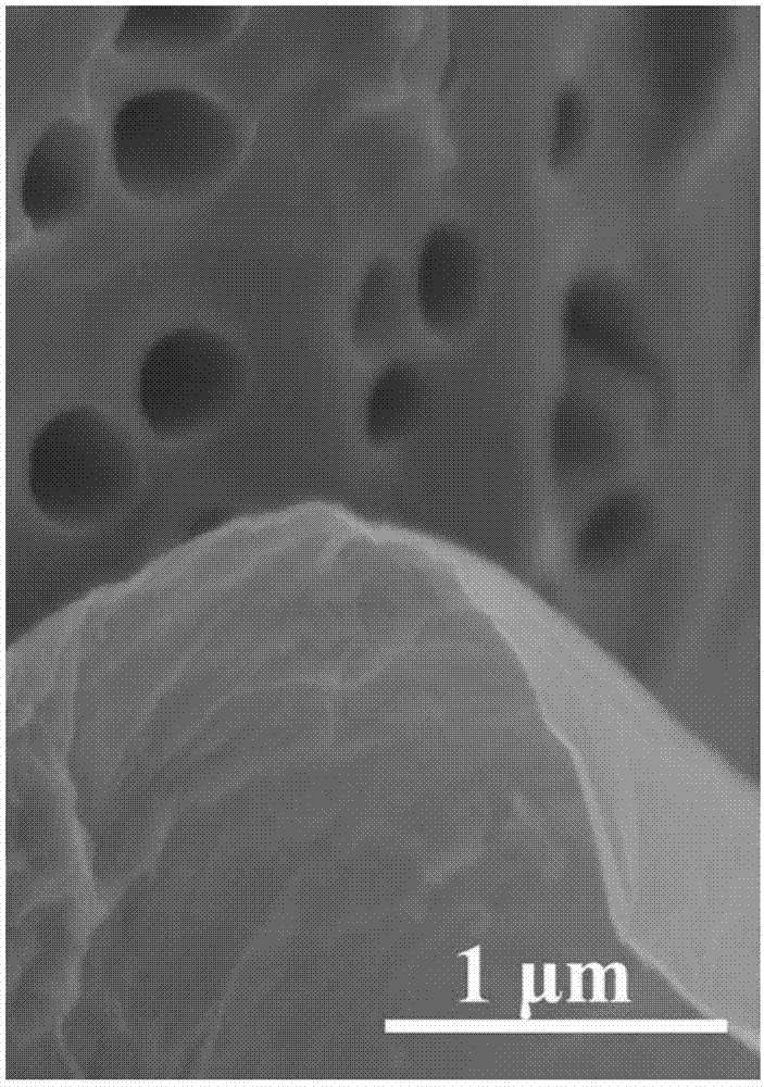 Preparation method and application of graphene oxide separation membrane