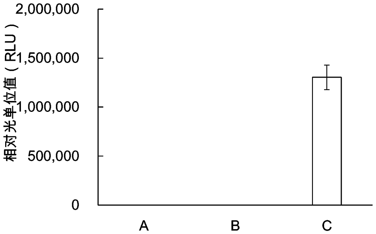 Protein synthesis system for in-vitro protein synthesis, kit and preparation method for protein through in-vitro synthesis