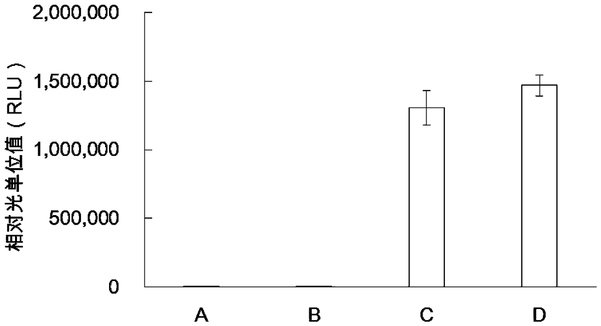 Protein synthesis system for in-vitro protein synthesis, kit and preparation method for protein through in-vitro synthesis