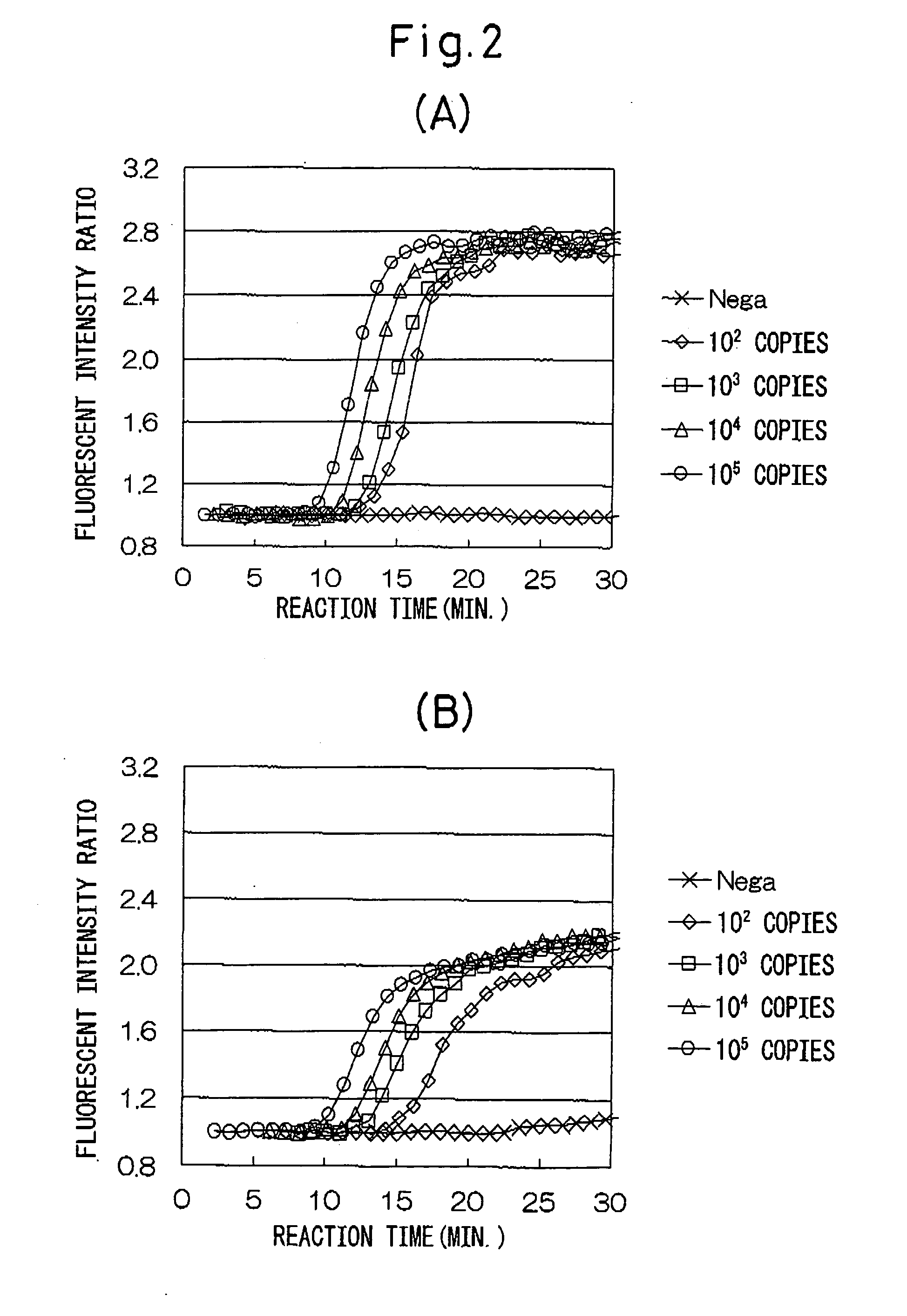 Detection reagent for shiga toxin family gene of entero-hemorrhagic escherichia coli