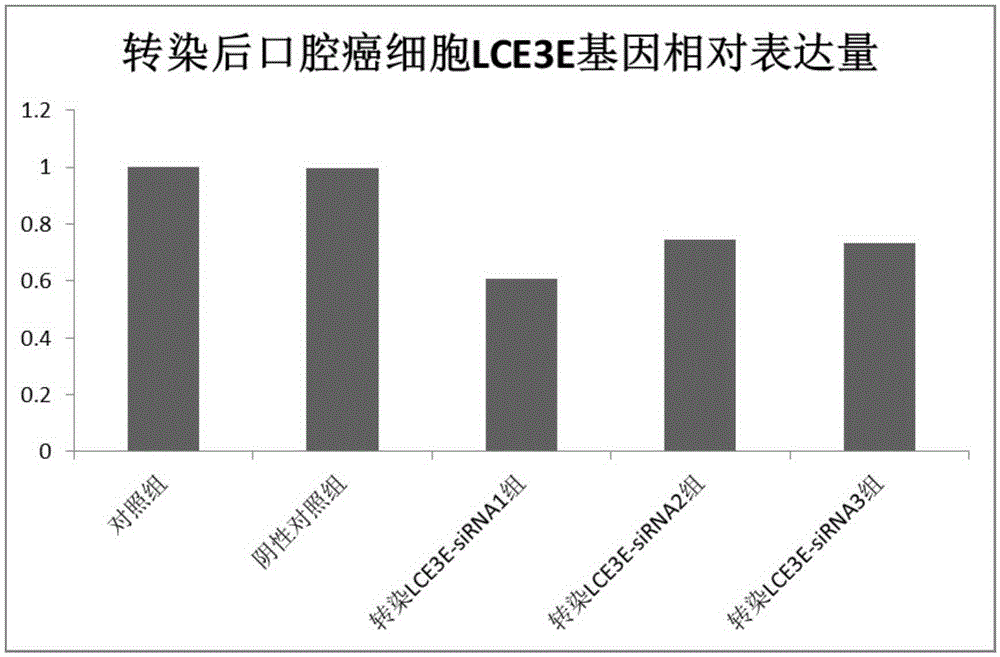 Application of LCE3E to diagnosis and treatment of oral cancer