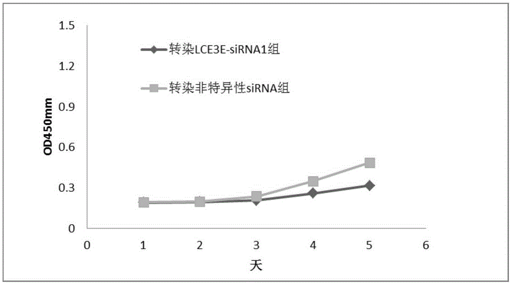 Application of LCE3E to diagnosis and treatment of oral cancer