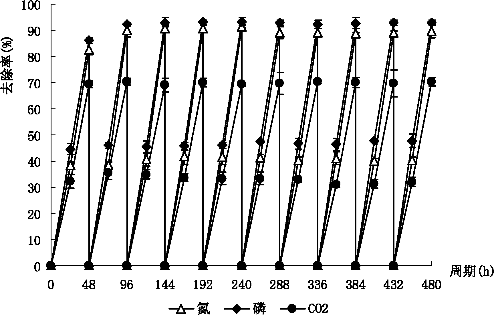 Common chlorella as well as culturing method and application thereof