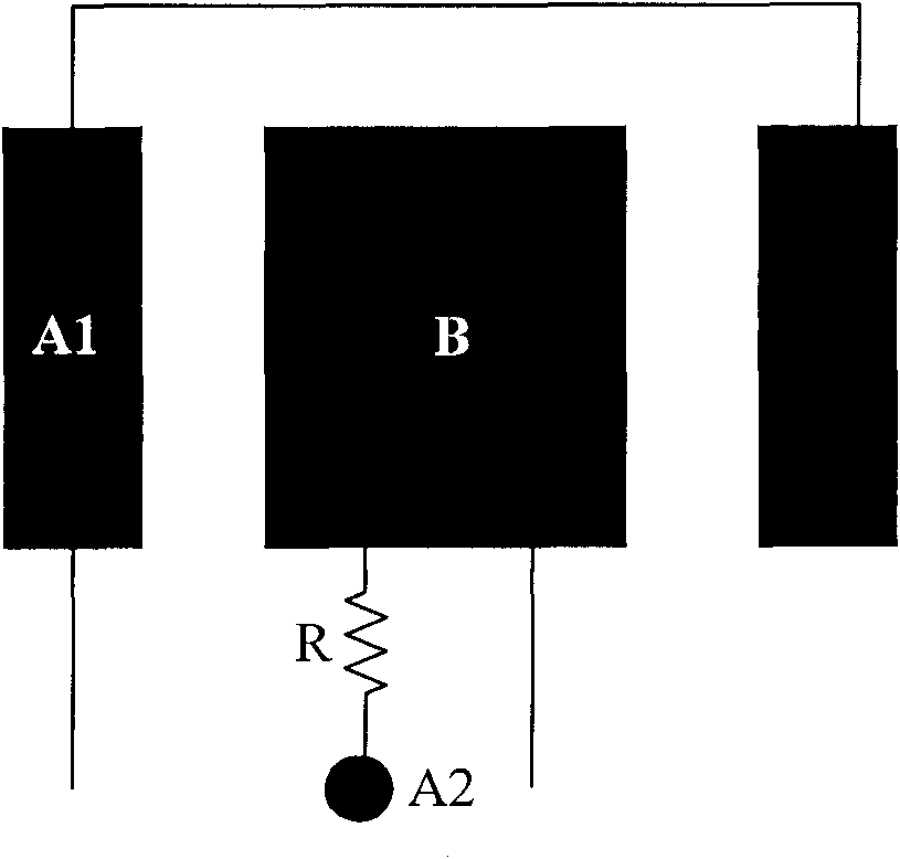 Double-coupling detection circuit, rain sensor and rain identification method