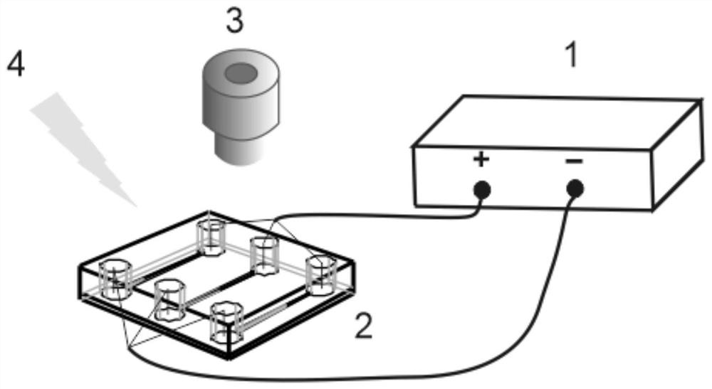 Moving reaction boundary-based nucleic acid detection method for nucleic acid amplification-chip electrophoresis titration sensing