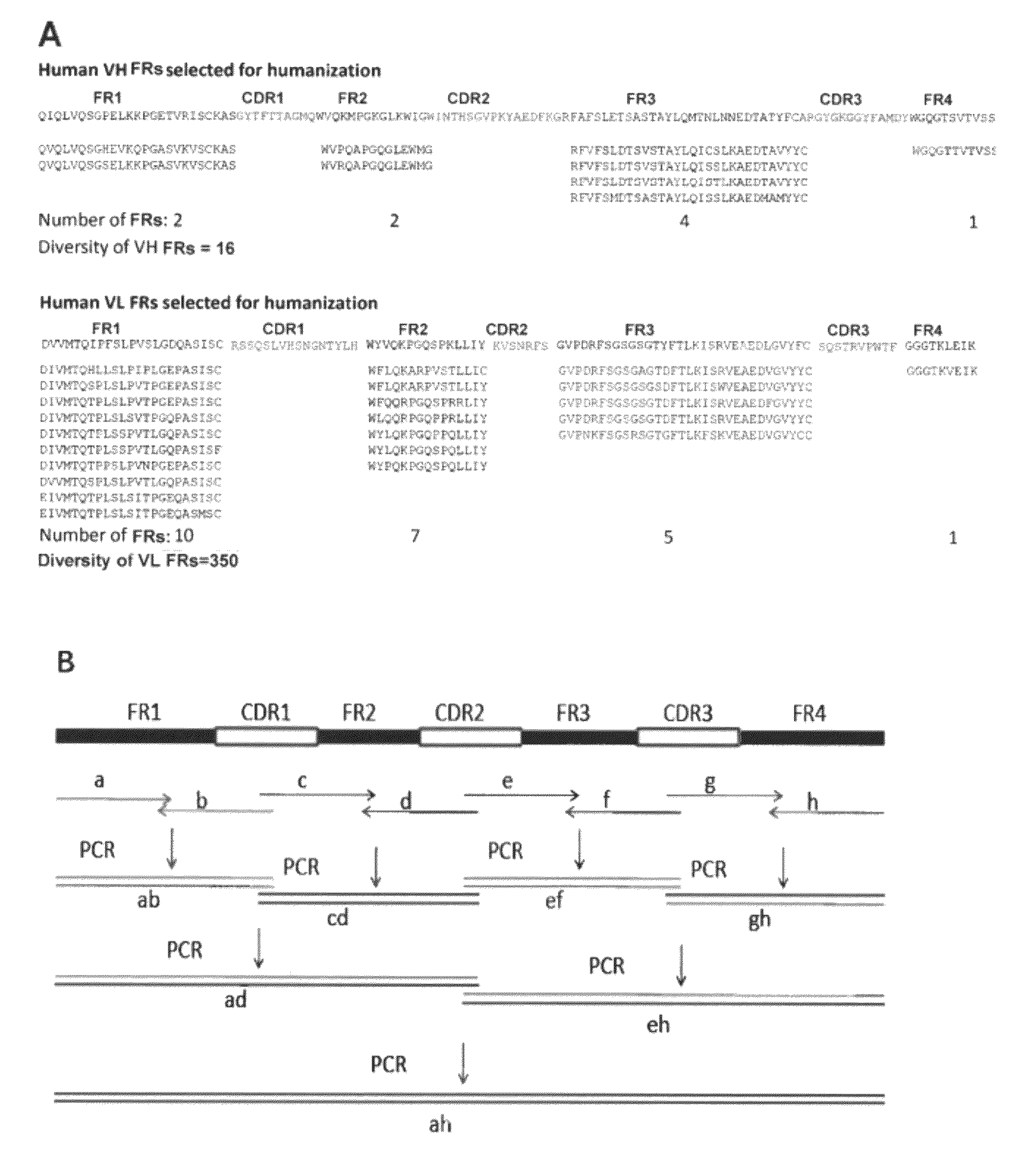 Antibody humanization by framework assembly