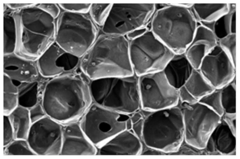 Foaming material composition, foaming material and preparation method thereof