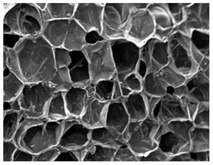 Foaming material composition, foaming material and preparation method thereof