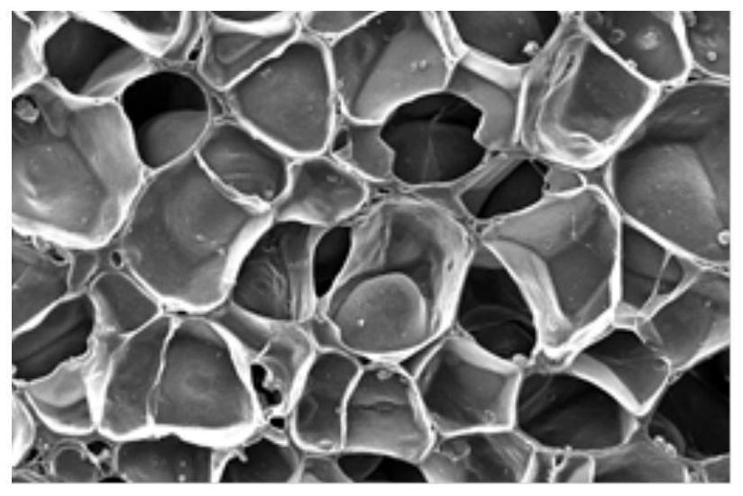 Foaming material composition, foaming material and preparation method thereof