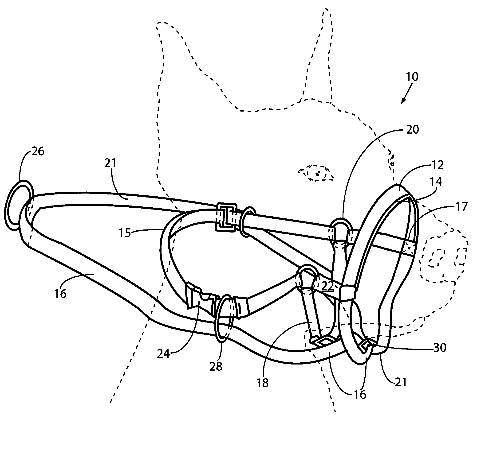 Cannine training and control harness