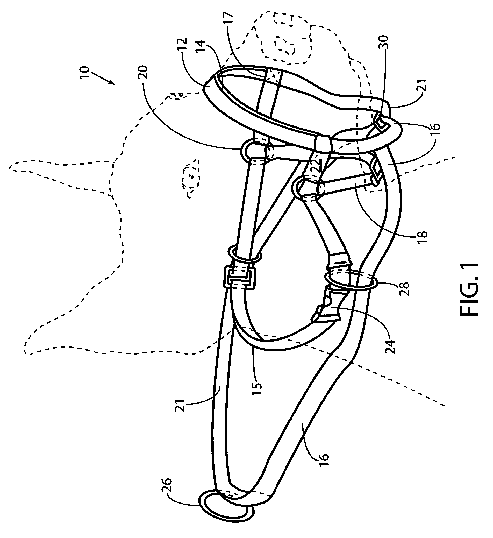 Cannine training and control harness