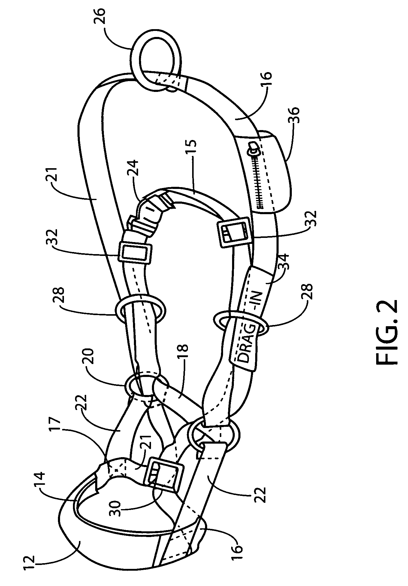 Cannine training and control harness