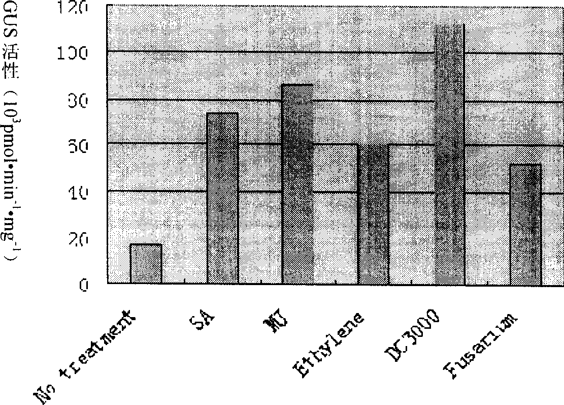 Cotton tissue specific and pathogenic bacterium inducing promoter and its use