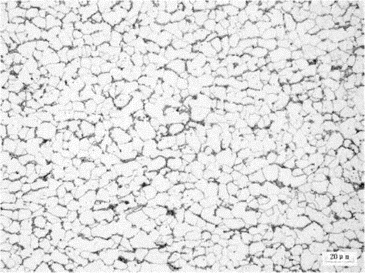 Method for producing hot rolled steel coils