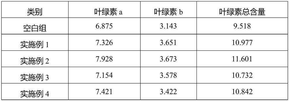 Nitro-sulfenyl calcium-magnesium compound fertilizer, preparation method thereof and vegetable cultivation method