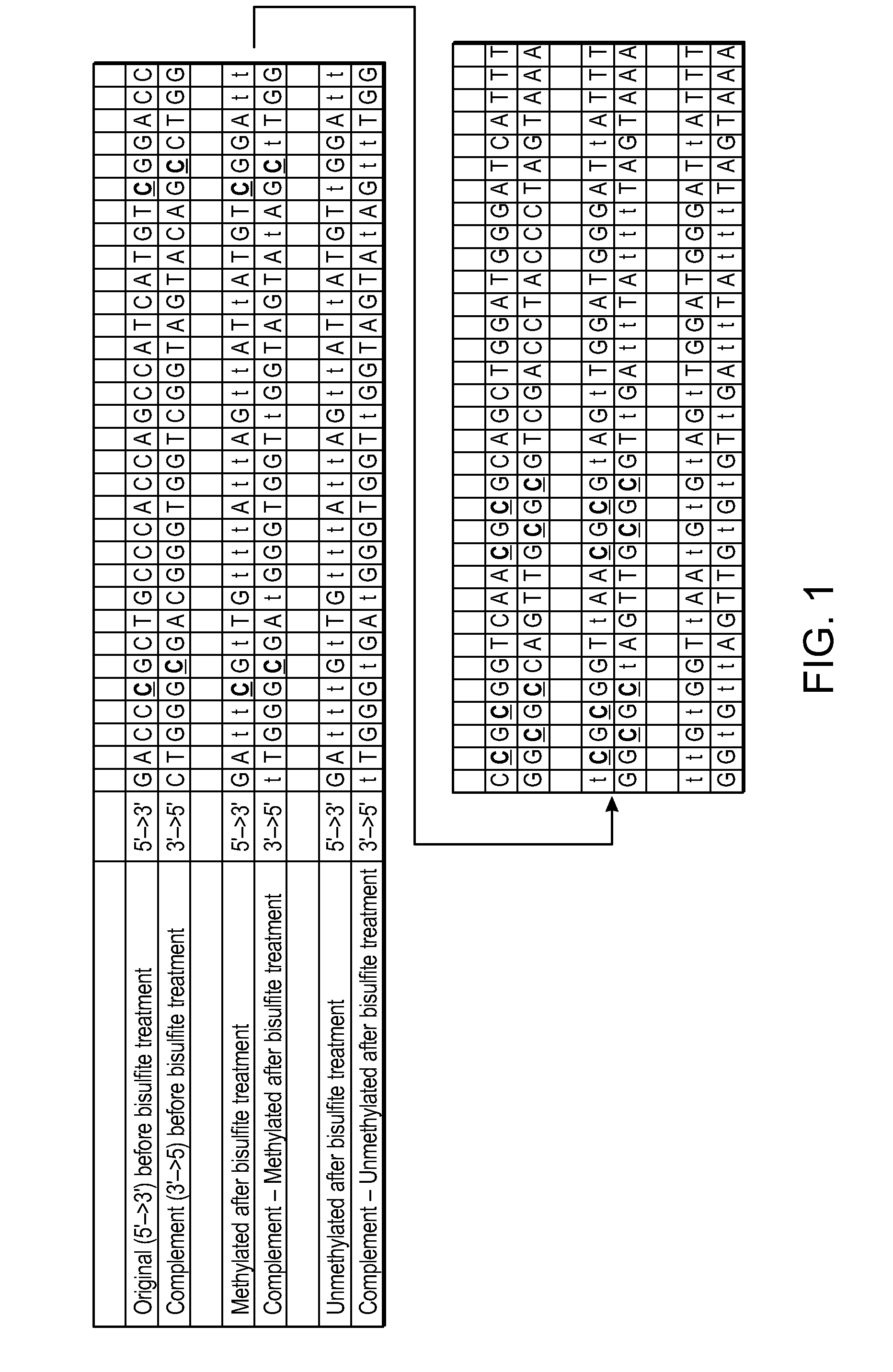 Detection of bisulfite converted nucleotide sequences