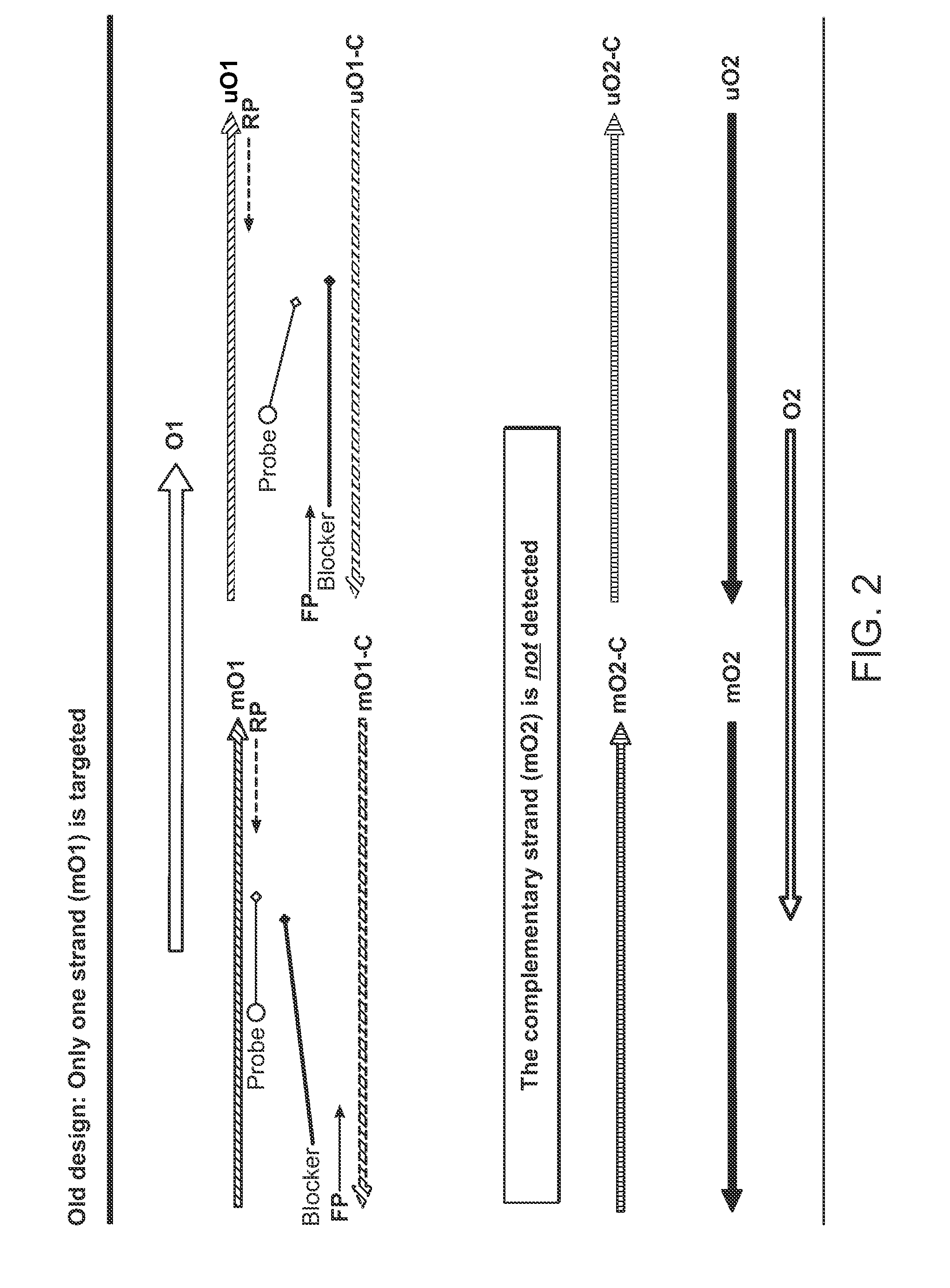 Detection of bisulfite converted nucleotide sequences