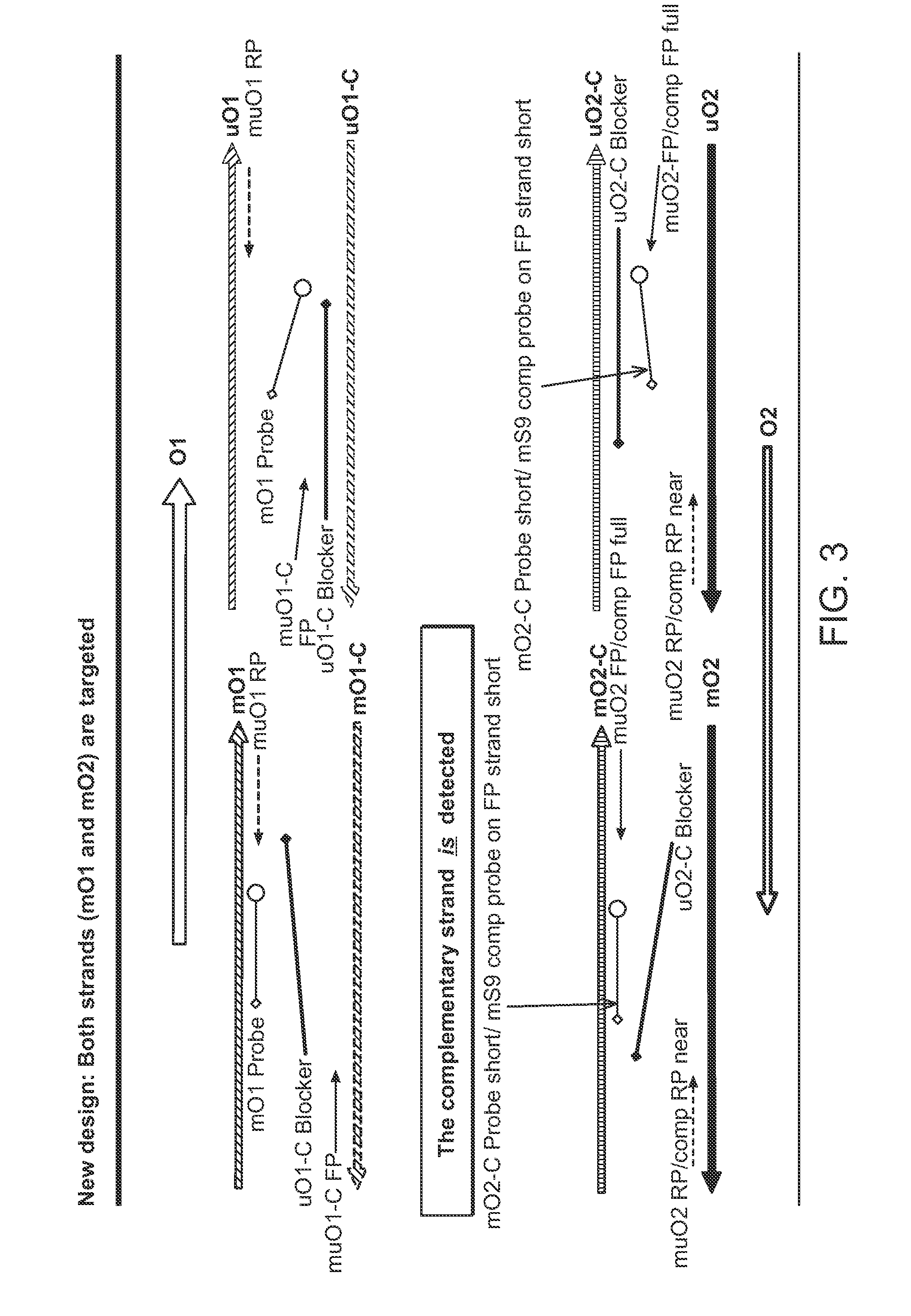 Detection of bisulfite converted nucleotide sequences