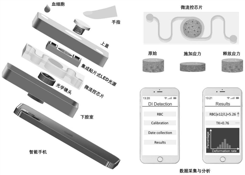 Smartphone imaging analysis system based on finger-pressing type microfluidic platform and application of smartphone imaging analysis system