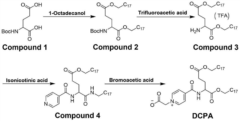 Functionally synergistic zwitterionic lipids mediated by "water bridges" mediated superresponsiveness, and preparation methods and applications thereof