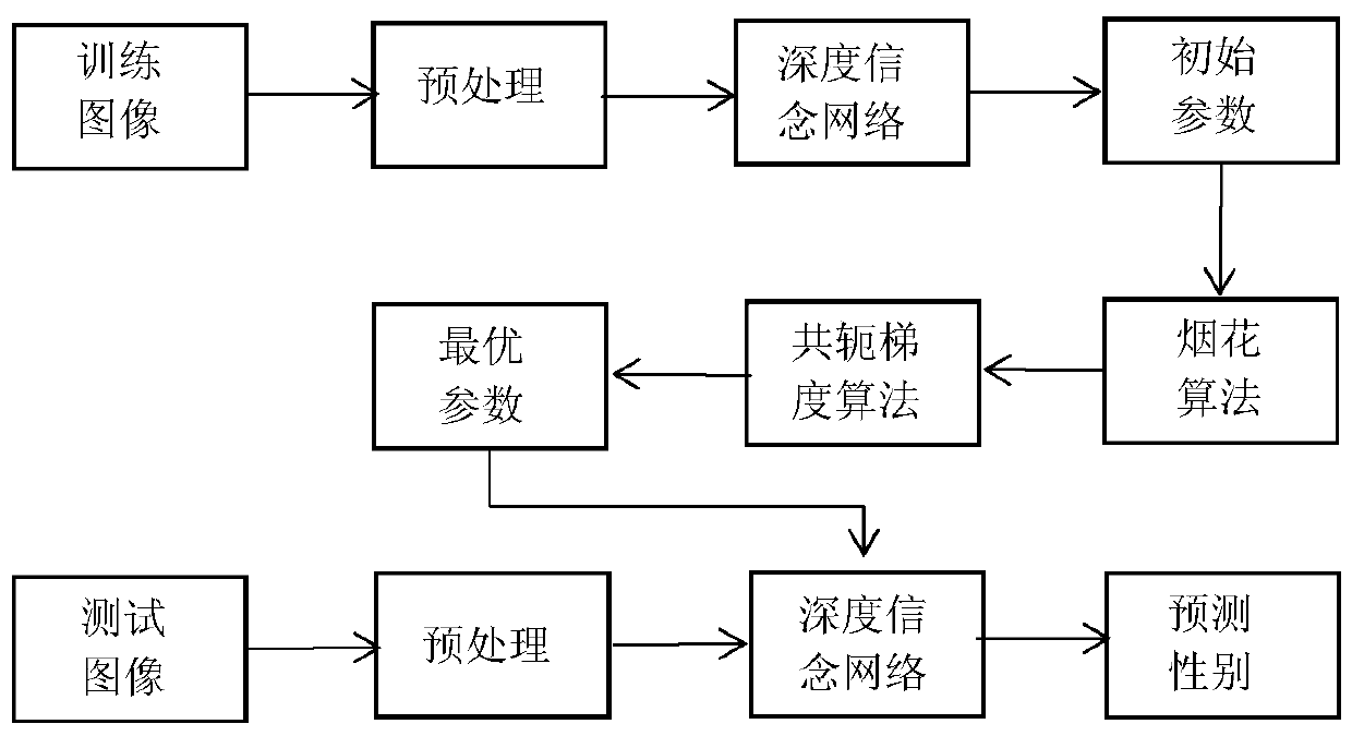 Face Gender Recognition Method Based on Fireworks Deep Belief Network