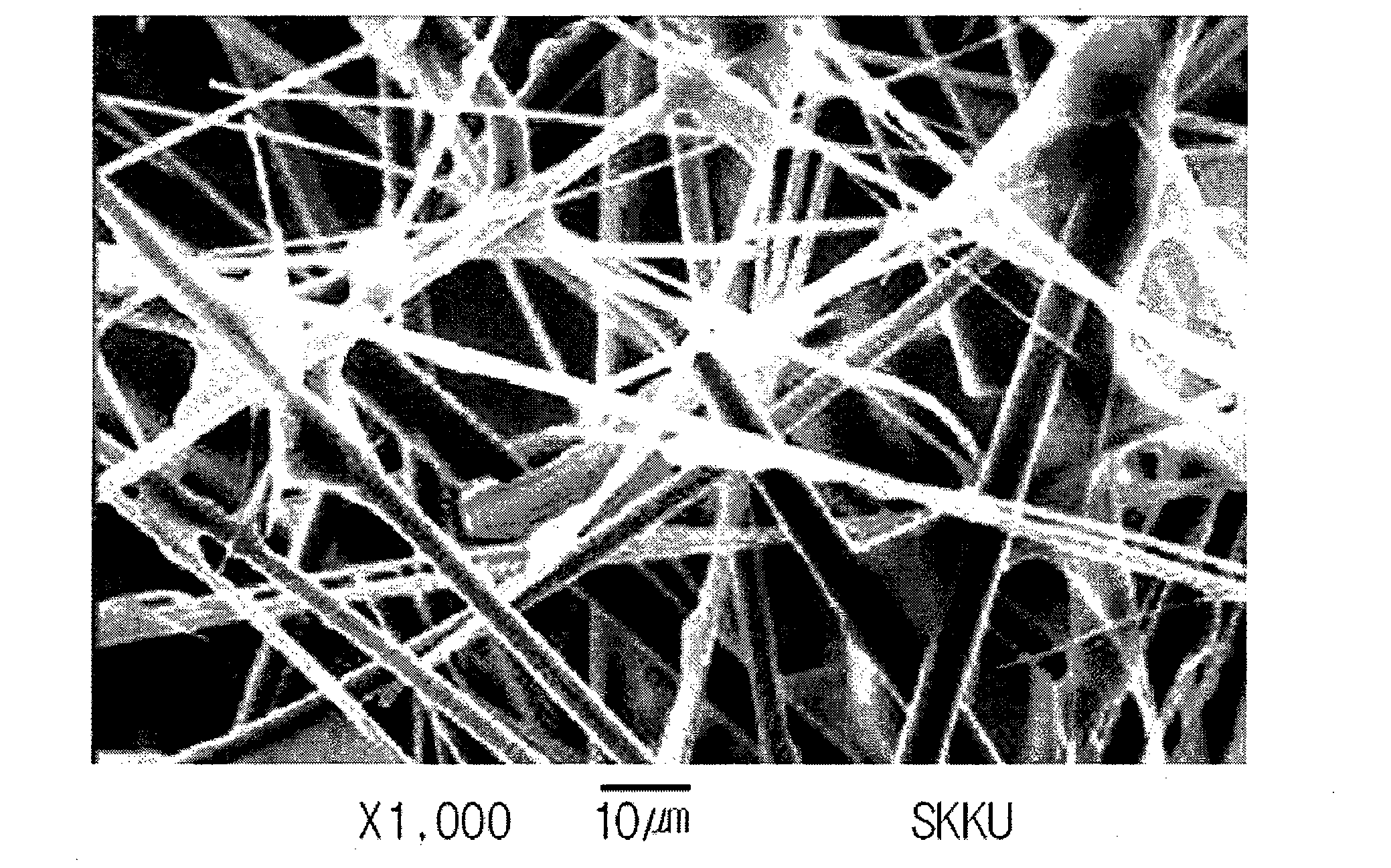 Composite electrode and method for manufacturing the same